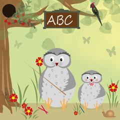 Background with owl school