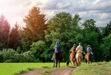 Fototapete Reiten Idyllischer Ausritt - Gruppe Reiter Pferde - Horse Riding