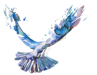 Foto auf Acrylglas Gemälde Vogel
