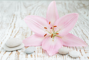 Fototapeta na wymiar lilly and massage stones
