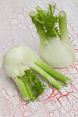 Fenchel