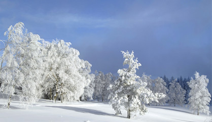 Schneelandschaft im Schwarzwald