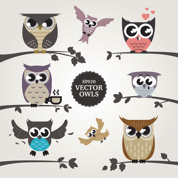 Vector owls