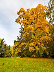 Naklejka premium Autumn Landscape.