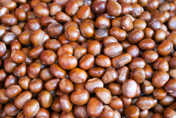 Chestnut close up shoot,background