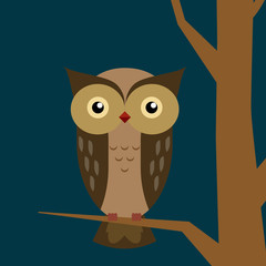 Cute owl vector illustration.
