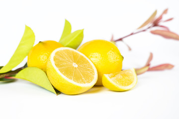 Composizione di limoni