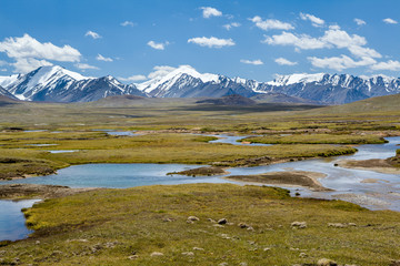 Mountain landscape. Arabel valley, Kyrgyzstan