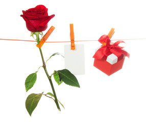 Red roses, present and name card on clothesline