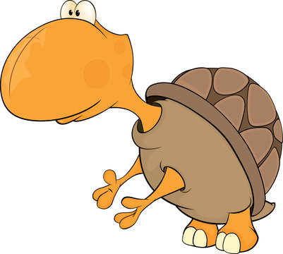 Turtle cartoon