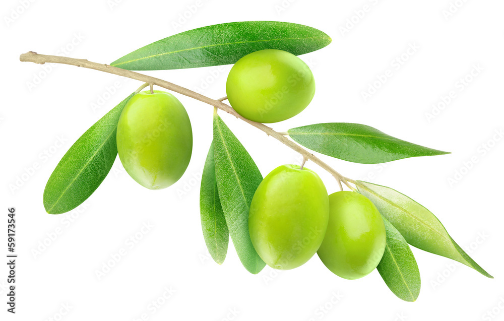 Aufkleber isolated olive branch. tree branch with leaves and green fruits isolated on white background