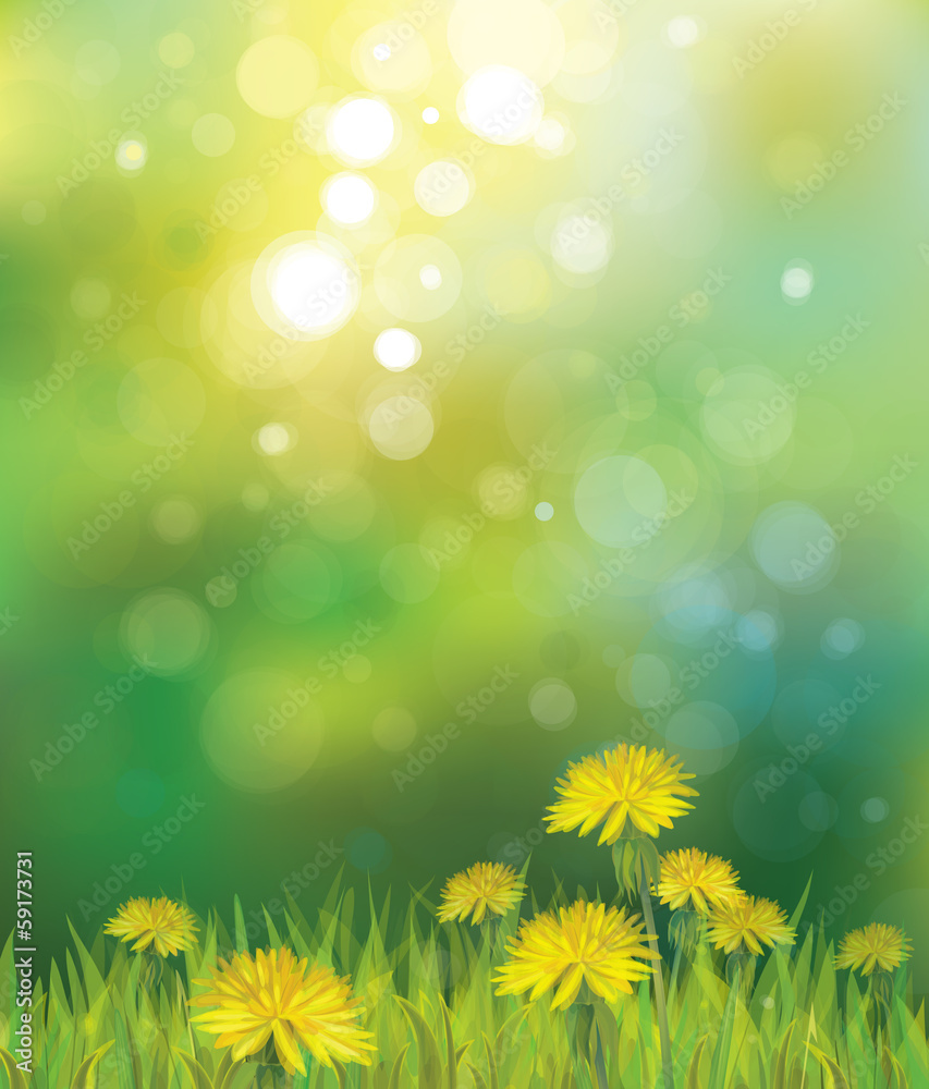 Wall mural vector of spring background with yellow dandelions.