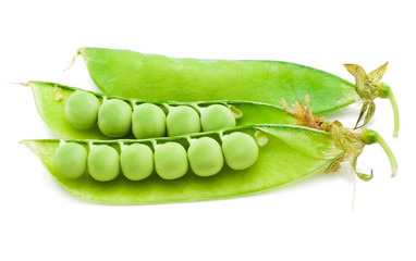 Pea