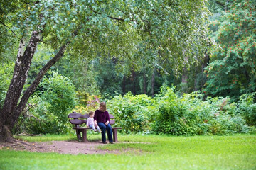 Fototapeta premium Grandmother and baby girl in a park on a bench under a tree