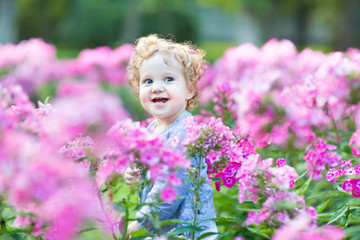 Curly baby girl with blue eyes in a field of flowers