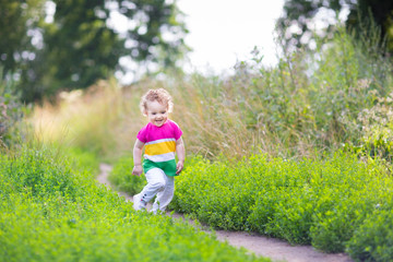 Cute little girl running in a beautiful summer field