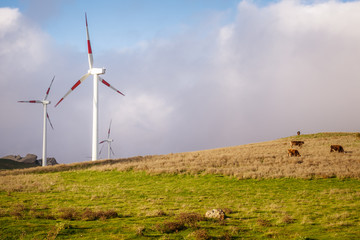 Fototapeta premium Wind turbines