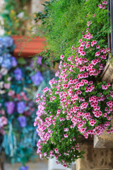 Flowers on the balcony in Taormina