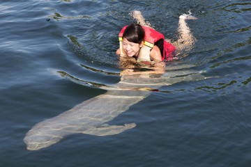Schwimmen mit Delphin © Digitalpress