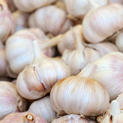Dry garlic grouped in a pile  square composition