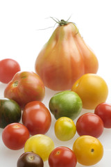 wilde tomaten
