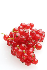 Rote johannisbeeren