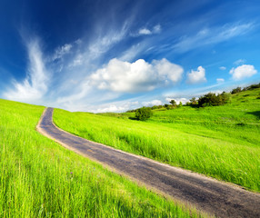 Road on the green meadow. Beautiful summer landscape