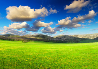 Green field and cloudy sky. Beautiful summer landscape