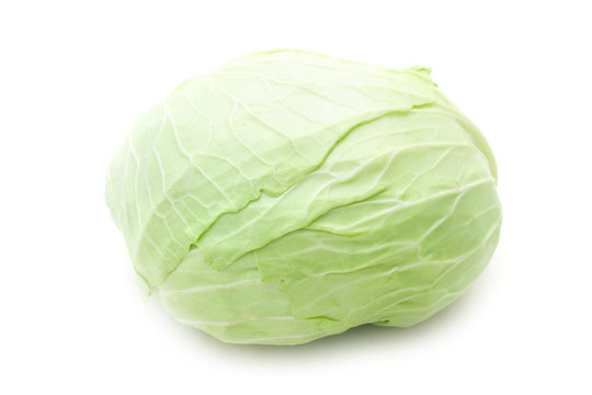 Jaroma Cabbage