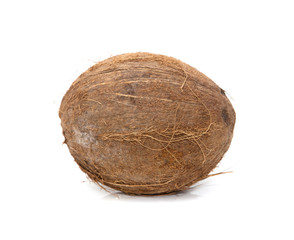 coconut on white background