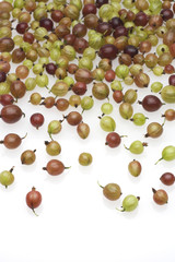 Stachelbeeren