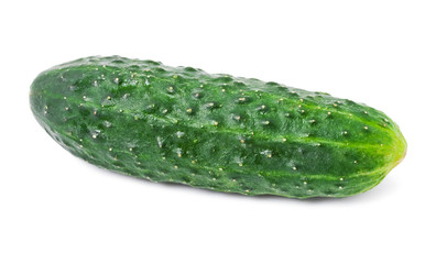 Fresh cucumber