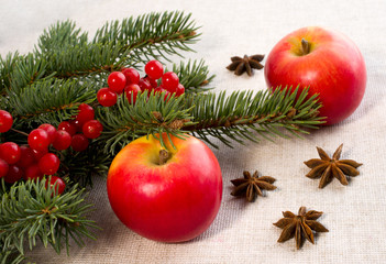 red apples, star anise and spruce branches