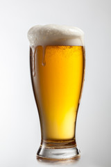 Beer in glass isolated on white background