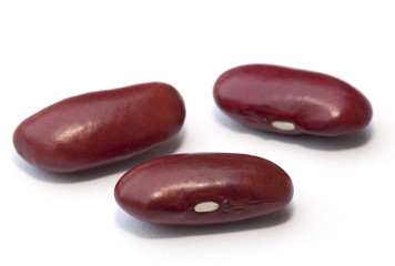 Kidney bean isolated on the white background