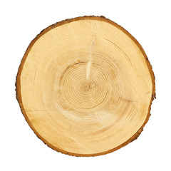 tree trunk cross section, isolated, clipping path included - obrazy, fototapety, plakaty