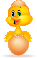 Cracked egg with cute bird inside