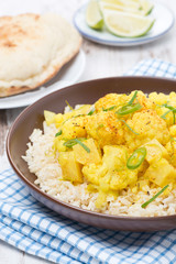 vegetable curry with cauliflower and rice, close-up