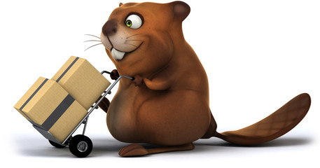Beaver © Julien Tromeur
