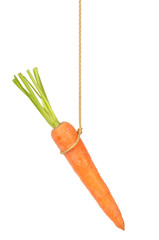 Carrot on String
