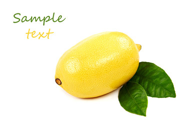 Fresh fruit. Lemon, isolated on a white background.