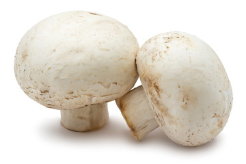 Champignon mushrooms