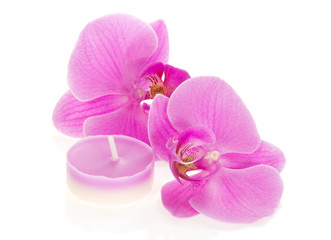 Orchids and the aromatic candles
