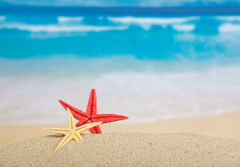 Fototapeta na wymiar Starfishes on the beautiful sea coast