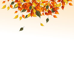 Background of autumn leaves.