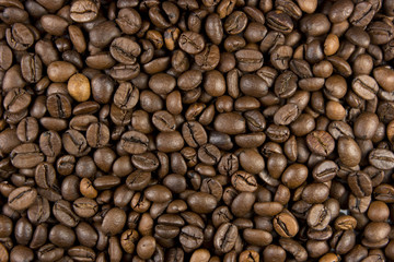 Granos de café
