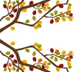 Branch of autumn tree