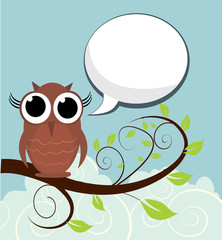 Owl On A Branch