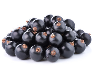 black currant