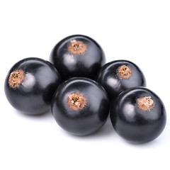 black currant i
